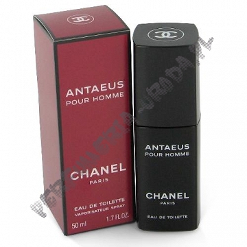 Chanel Antaeus men woda toaletowa 50 ml spray