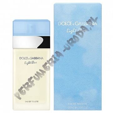 Dolce & Gabbana Light Blue woda toaletowa dla kobiet 100 ml