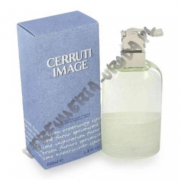 Cerruti Image Homme woda toaletowa 100 ml spray